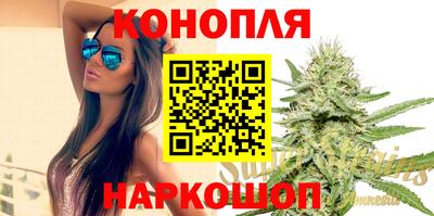сатива Обнинск