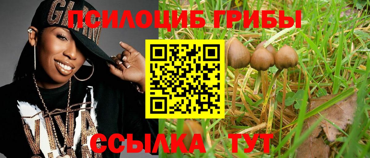 Галлюциногенные грибы мицелий  Вход с VPN  Галлюциногенные грибы мицелий  Солнечногорск 